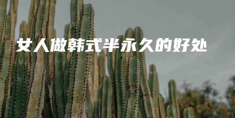 女人做韩式半永久的好处插图