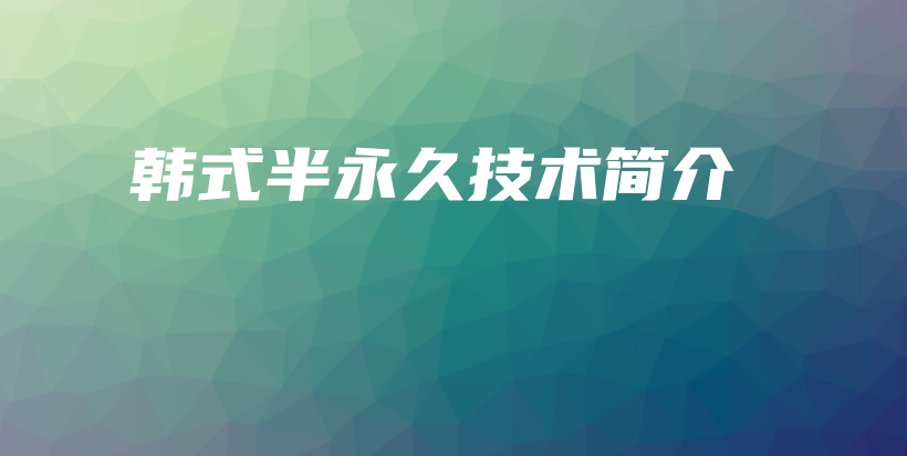 韩式半永久技术简介插图