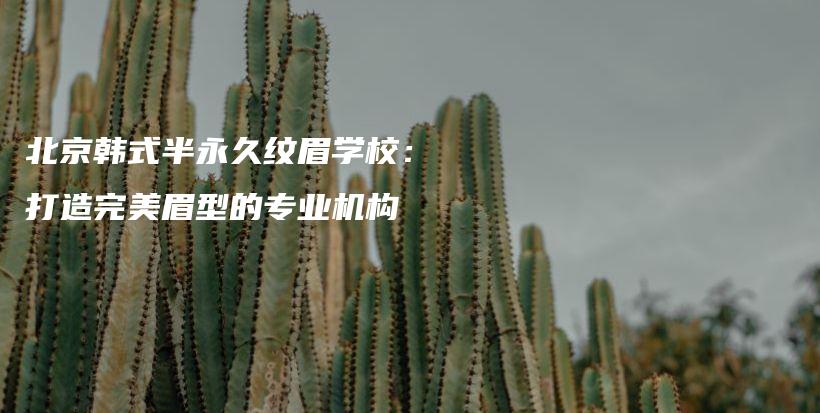 北京韩式半永久纹眉学校：打造完美眉型的专业机构插图