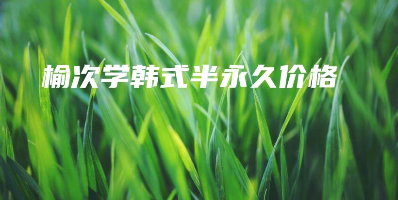 榆次学韩式半永久价格插图