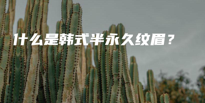 什么是韩式半永久纹眉？插图