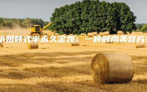 纹小姐韩式半永久定妆：一种时尚美容方式