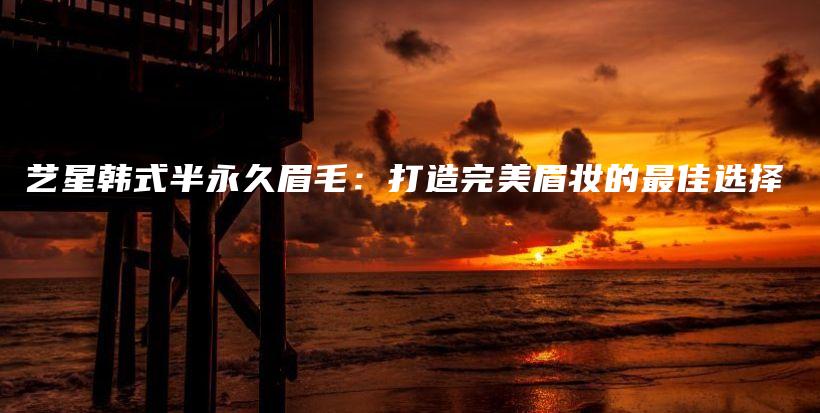 艺星韩式半永久眉毛：打造完美眉妆的最佳选择插图