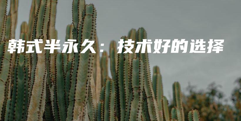 韩式半永久：技术好的选择插图