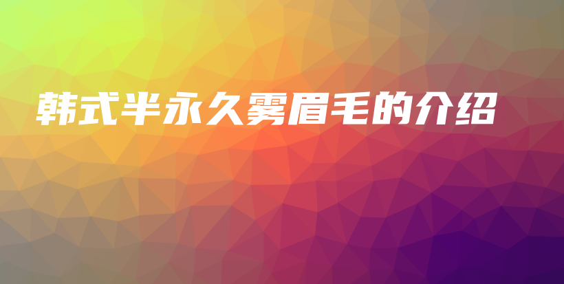 韩式半永久雾眉毛的介绍插图