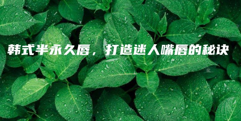 韩式半永久唇，打造迷人嘴唇的秘诀插图