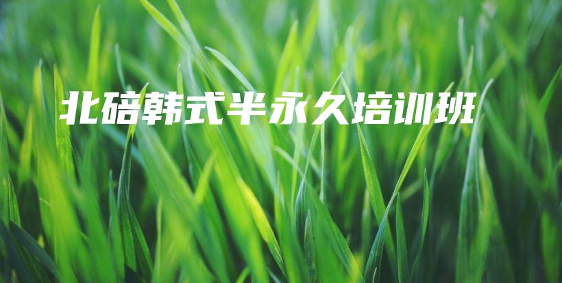 北碚韩式半永久培训班插图