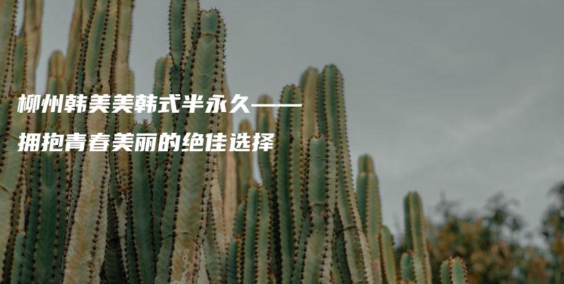 柳州韩美美韩式半永久——拥抱青春美丽的绝佳选择插图