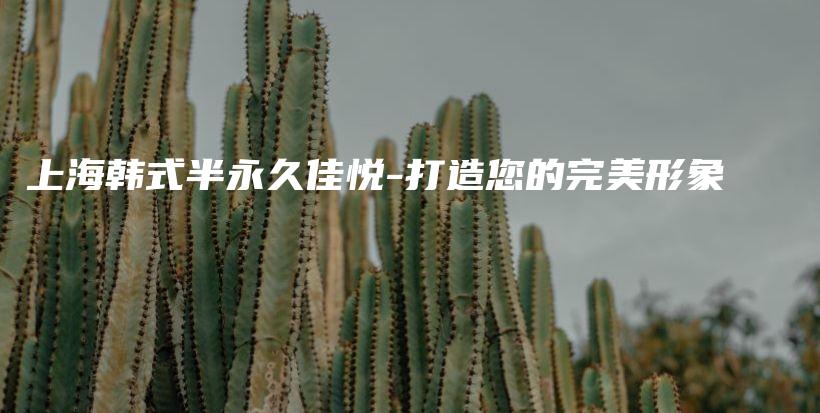 上海韩式半永久佳悦-打造您的完美形象插图