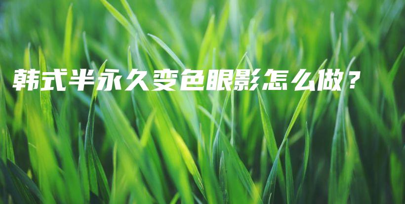 韩式半永久变色眼影怎么做？插图