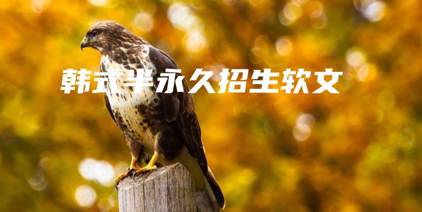 韩式半永久招生软文插图