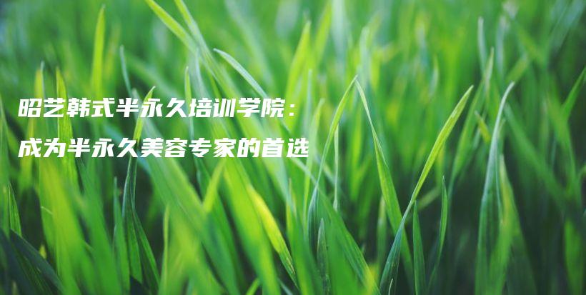 昭艺韩式半永久培训学院：成为半永久美容专家的首选插图