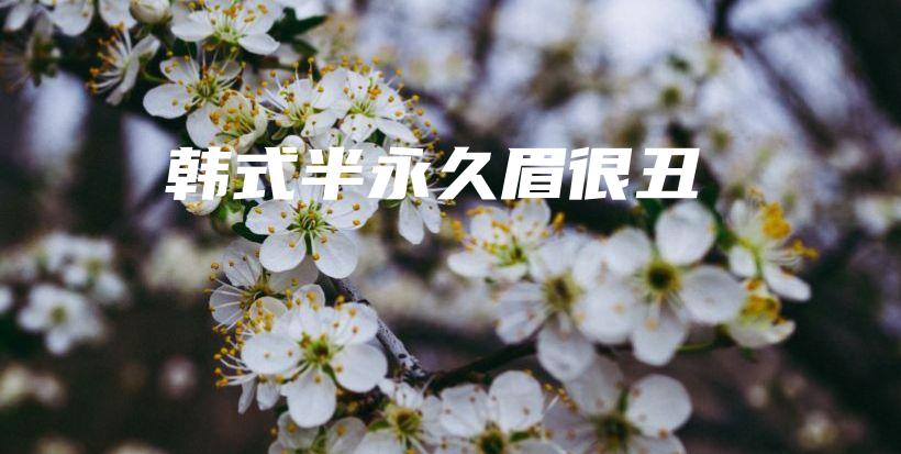 韩式半永久眉很丑插图