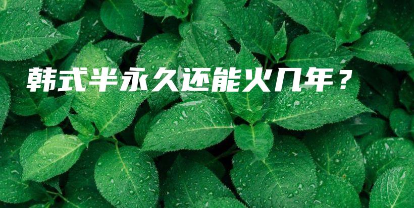 韩式半永久还能火几年？插图