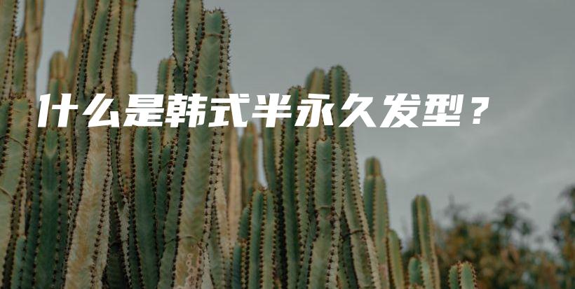 什么是韩式半永久发型？插图
