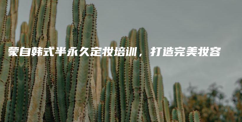蒙自韩式半永久定妆培训，打造完美妆容插图
