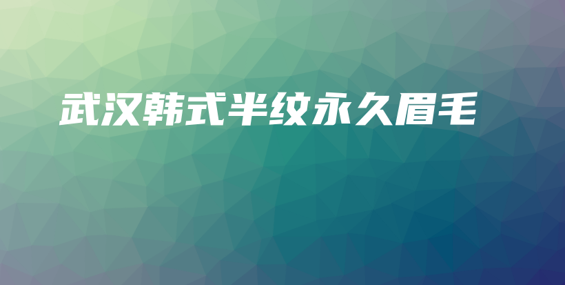 武汉韩式半纹永久眉毛插图