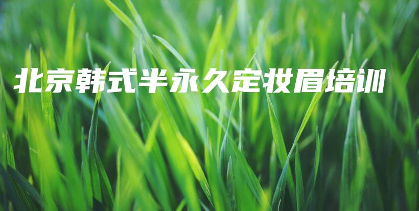 北京韩式半永久定妆眉培训插图