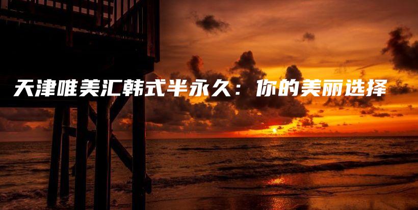 天津唯美汇韩式半永久：你的美丽选择插图