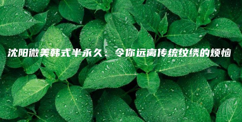 沈阳微美韩式半永久：令你远离传统纹绣的烦恼插图