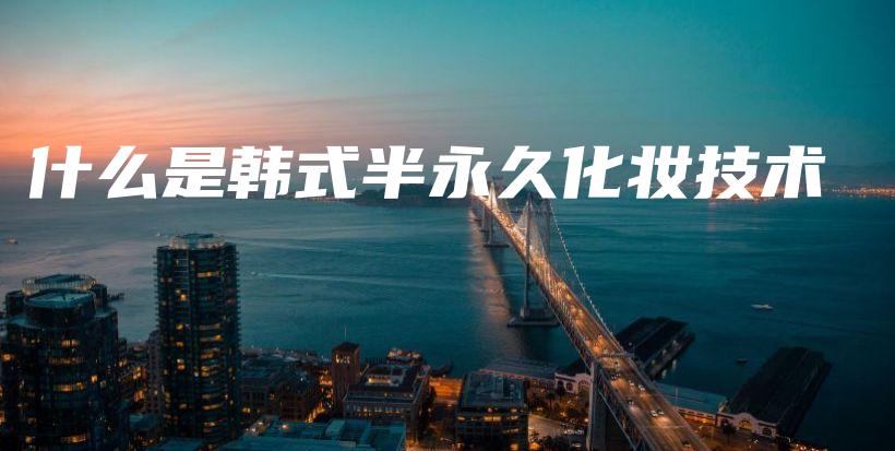 什么是韩式半永久化妆技术插图