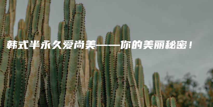 韩式半永久爱尚美——你的美丽秘密！插图