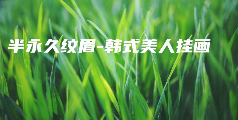 半永久纹眉-韩式美人挂画插图