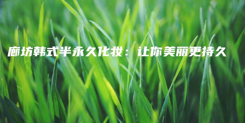 廊坊韩式半永久化妆：让你美丽更持久插图