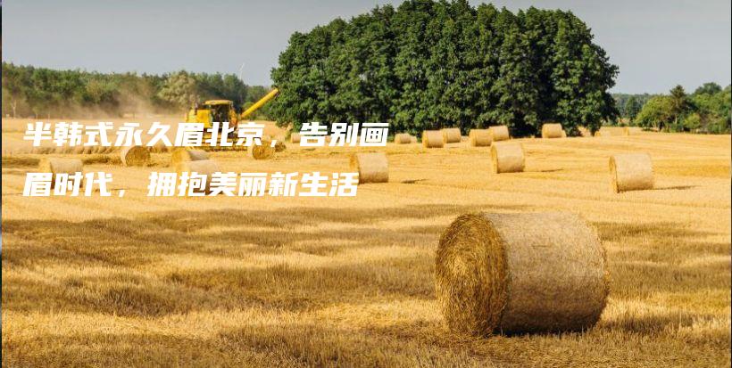 半韩式永久眉北京，告别画眉时代，拥抱美丽新生活插图