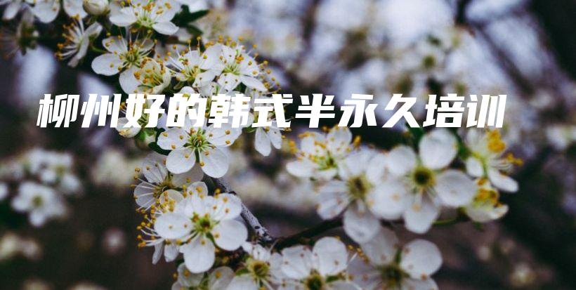 柳州好的韩式半永久培训插图