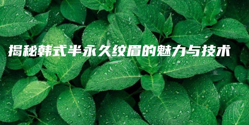 揭秘韩式半永久纹眉的魅力与技术插图