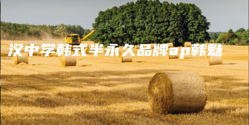 汉中学韩式半永久品牌ap韩魅插图