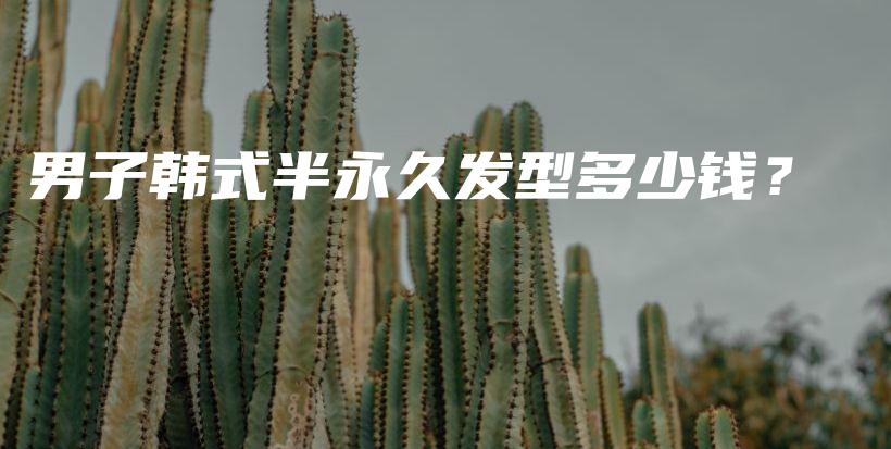 男子韩式半永久发型多少钱？插图