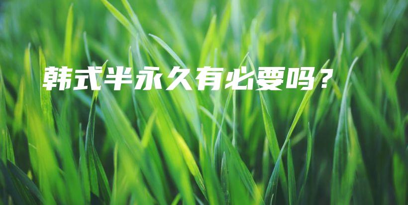 韩式半永久有必要吗？插图