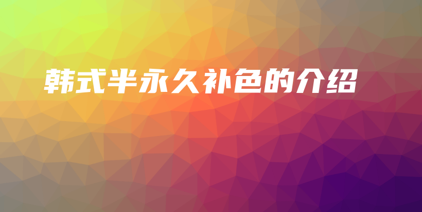韩式半永久补色的介绍插图