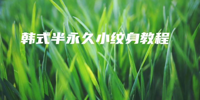 韩式半永久小纹身教程插图