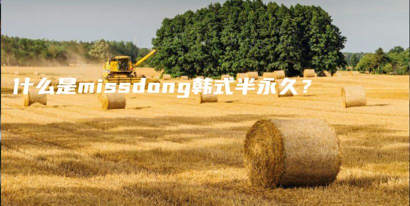 什么是missdong韩式半永久？插图
