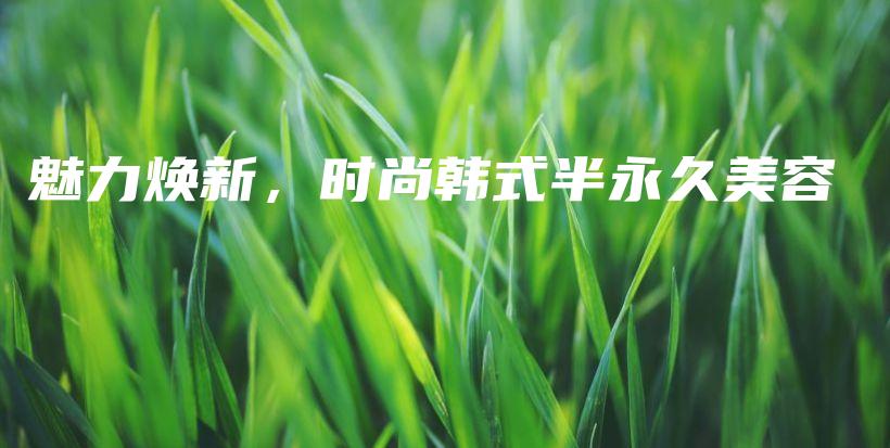 魅力焕新，时尚韩式半永久美容插图