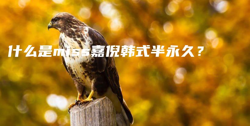 什么是miss嘉倪韩式半永久？插图