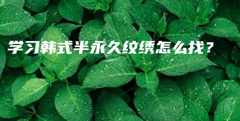 学习韩式半永久纹绣怎么找？插图