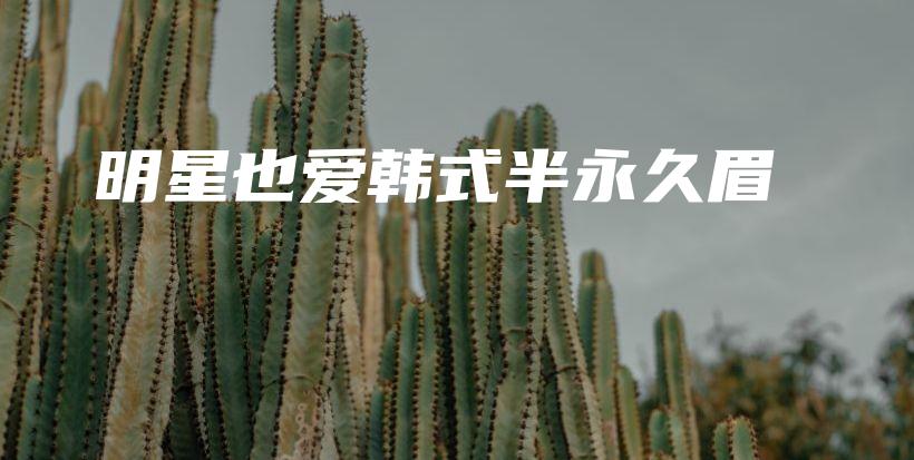 明星也爱韩式半永久眉插图