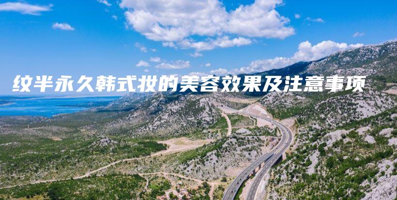 纹半永久韩式妆的美容效果及注意事项插图