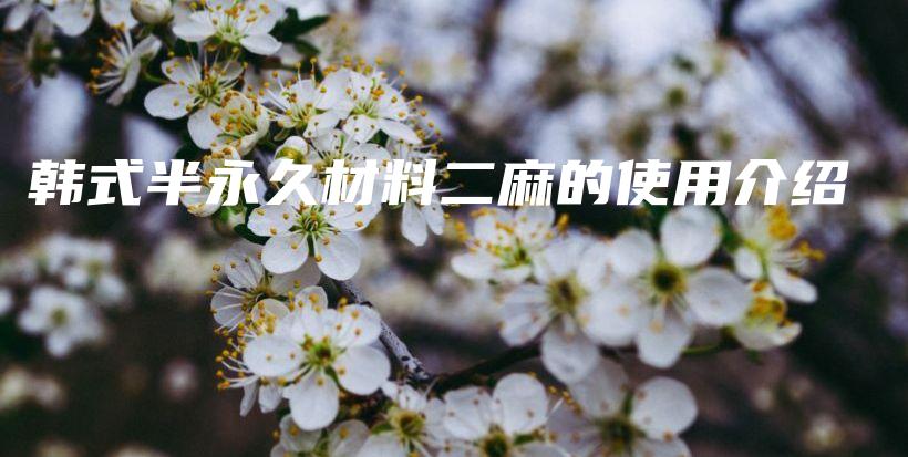 韩式半永久材料二麻的使用介绍插图