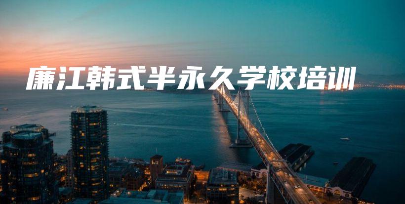 廉江韩式半永久学校培训插图