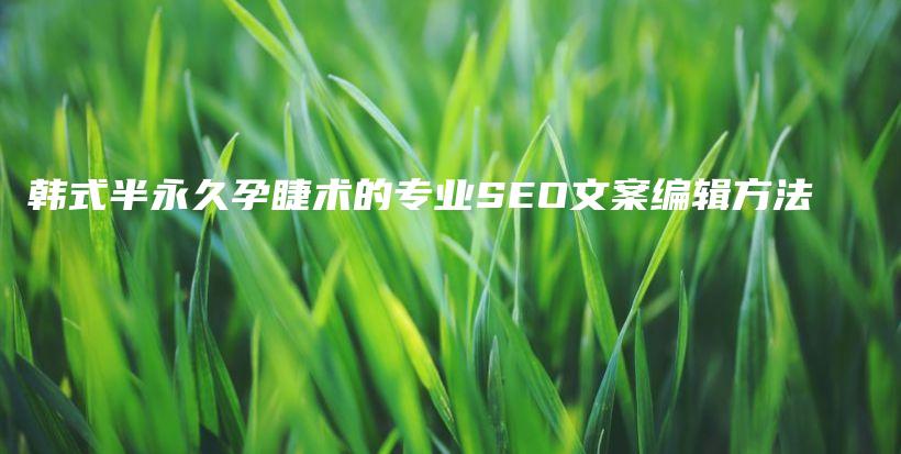 韩式半永久孕睫术的专业SEO文案编辑方法插图