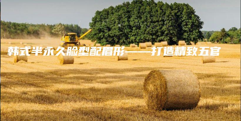 韩式半永久脸型配眉形——打造精致五官插图