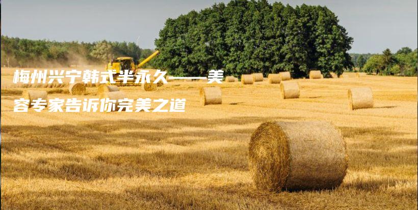 梅州兴宁韩式半永久——美容专家告诉你完美之道插图