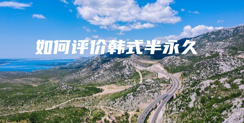 如何评价韩式半永久插图