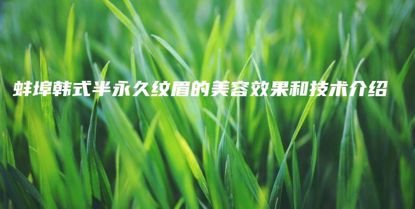 蚌埠韩式半永久纹眉的美容效果和技术介绍插图