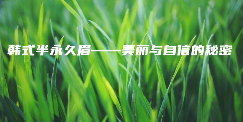 韩式半永久眉——美丽与自信的秘密插图